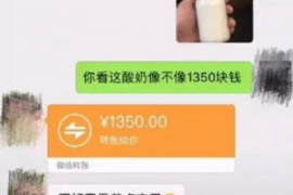 丽江企业清欠服务